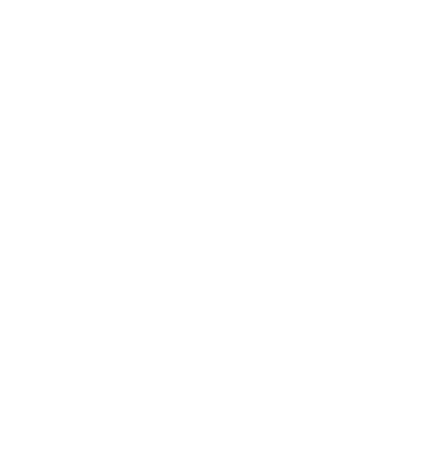 Power2Link